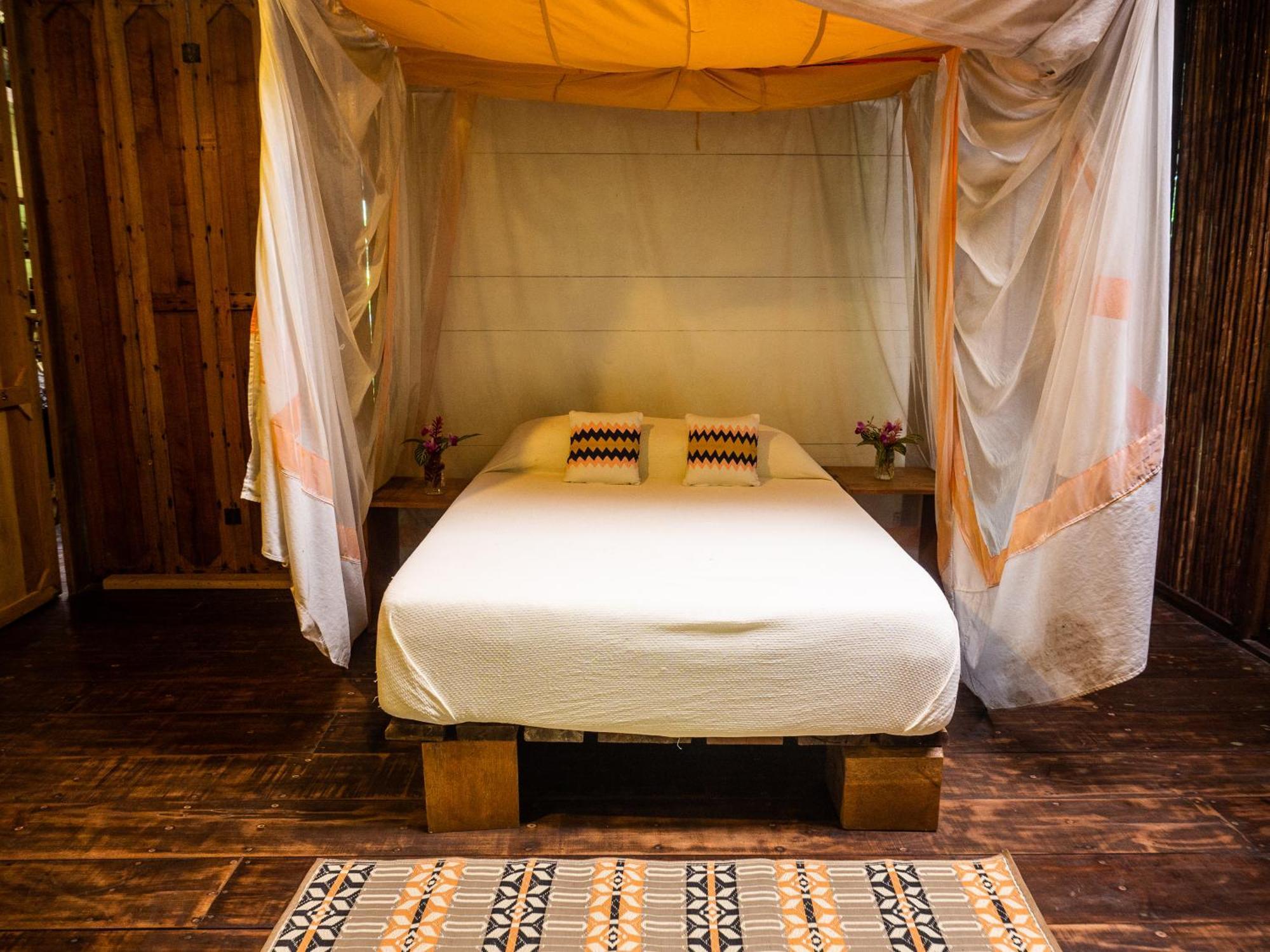 La Loma Jungle Lodge And Chocolate Farm โบกัสทาวน์ ห้อง รูปภาพ