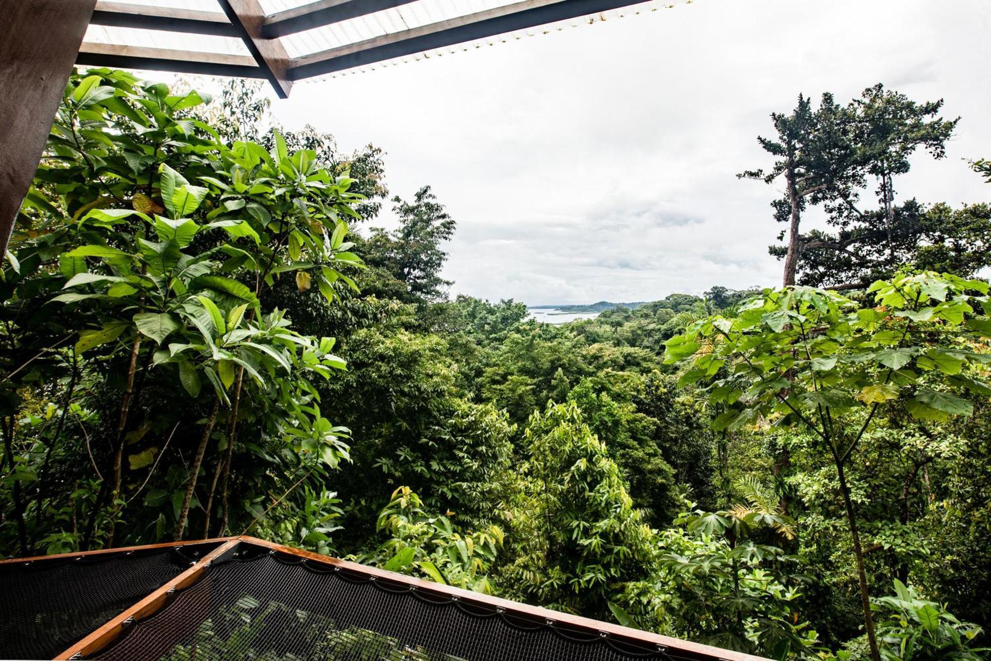 La Loma Jungle Lodge And Chocolate Farm โบกัสทาวน์ ภายนอก รูปภาพ