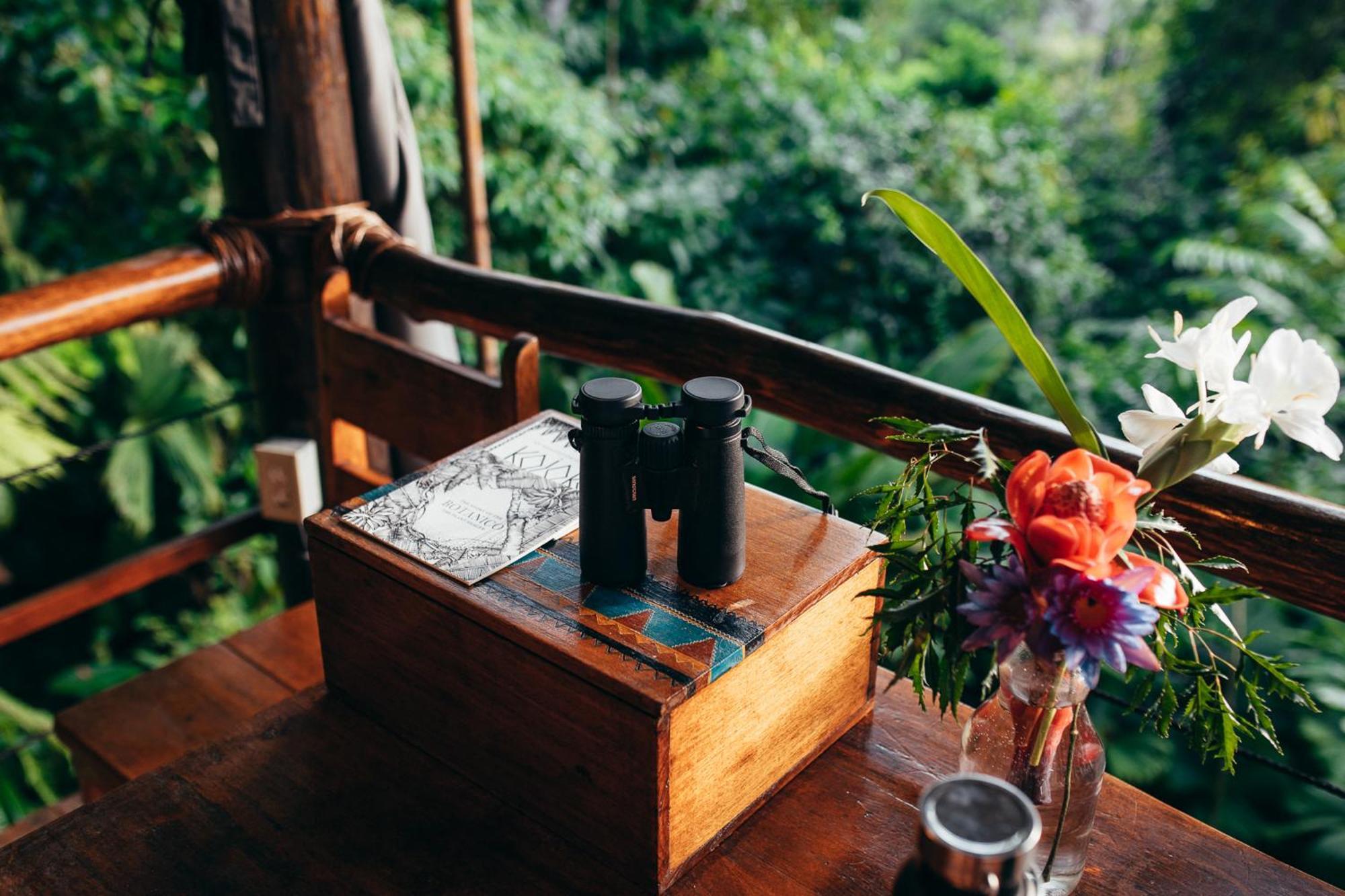 La Loma Jungle Lodge And Chocolate Farm โบกัสทาวน์ ภายนอก รูปภาพ