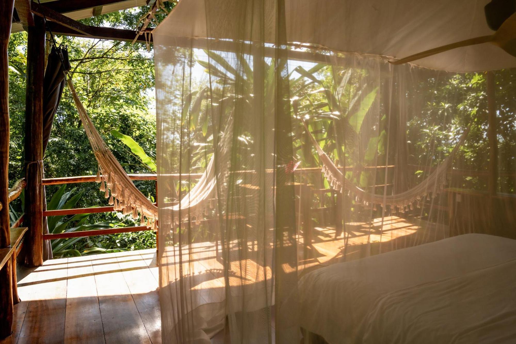 La Loma Jungle Lodge And Chocolate Farm โบกัสทาวน์ ภายนอก รูปภาพ