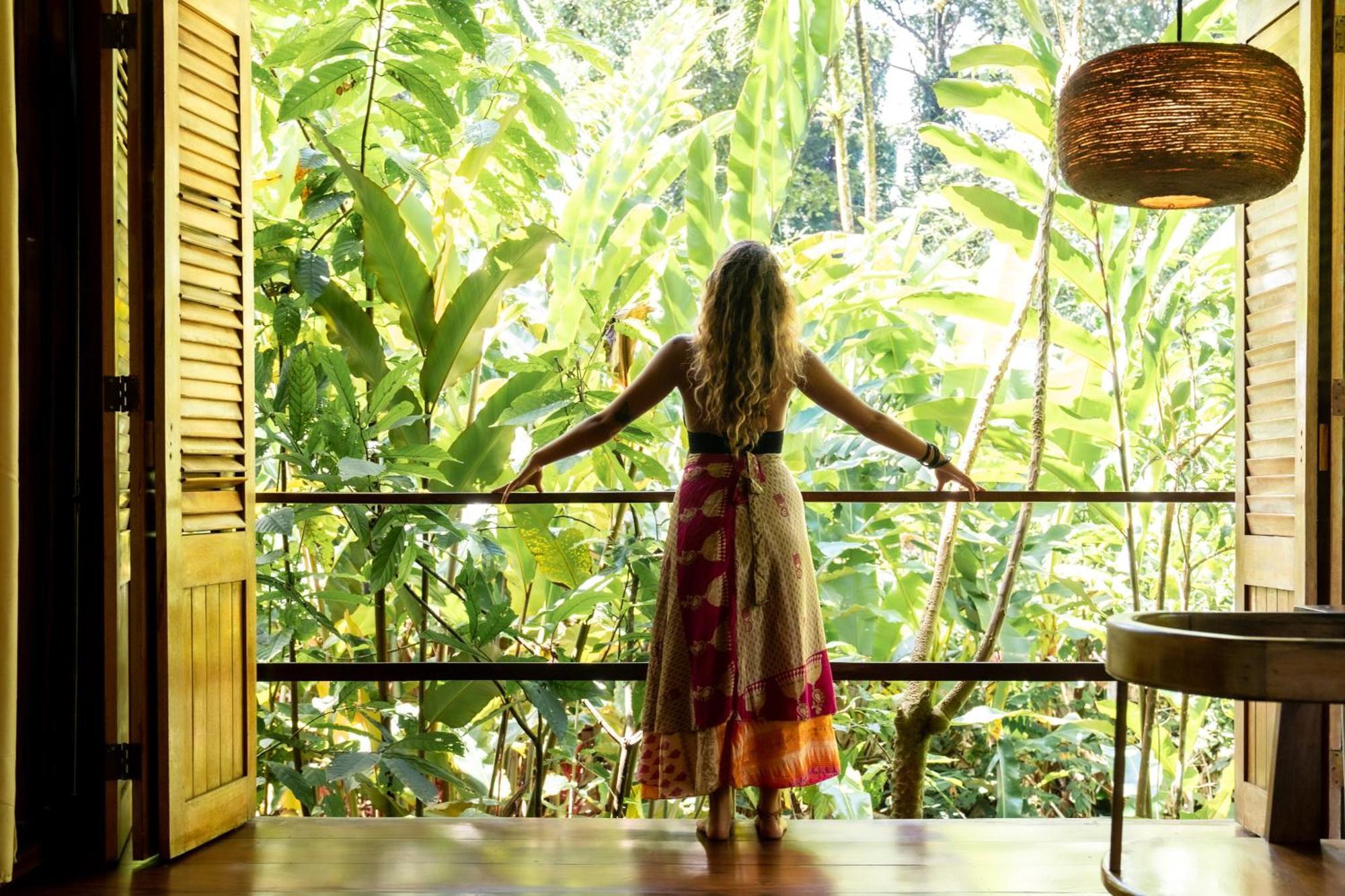 La Loma Jungle Lodge And Chocolate Farm โบกัสทาวน์ ภายนอก รูปภาพ